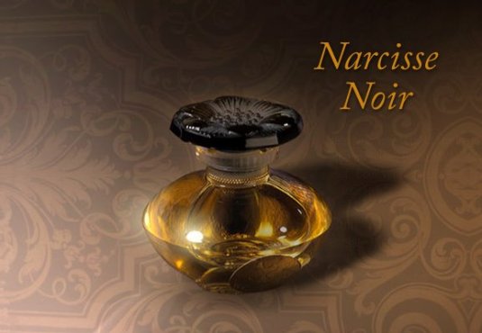 Narcisse Noir de Caron