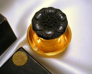 Narcisse Noir de Caron (Photo par un vendeur e-bay, qu'il me contacte si il ne souhaite pas que je l'utilise ici...)